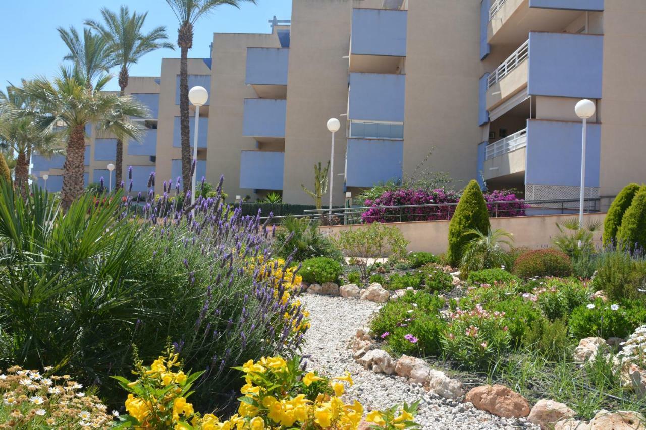 Appartamento Cabo Roig Del Sol *